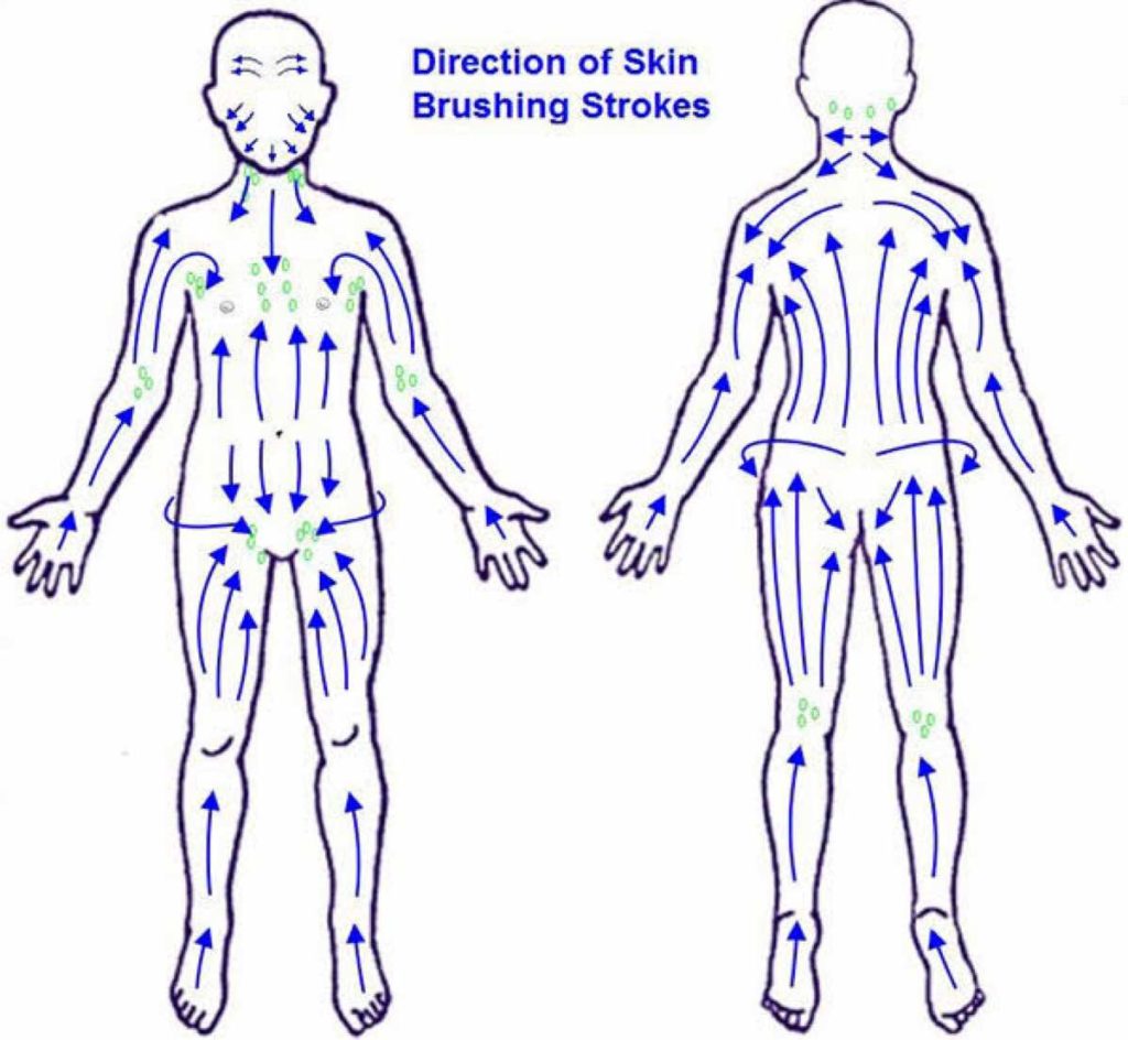 Dry Skin Brushing Direction
